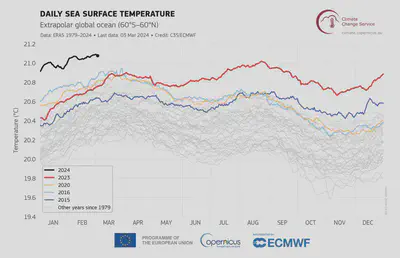 **Figure 1.** Daily sea surface temperature (°C) averaged over the extra-polar global ocean (60°S–60°N) 
for 2015 (blue), 2016 (yellow), 2023 (red), and 2024 (black line). All other years between 1979 and 2022 
are shown with grey lines. Data source: ERA5. Credit: Copernicus Climate Change Service/ECMWF. [Download
pdf version](https://climate.copernicus.eu/sites/default/files/custom-uploads/2402%20CB/PR_fig4_timeseries_era5_sst_daily_60S-60N_1979-2024.pdf).